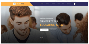 top 10 mẫu website tư vấn du học