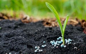 cấu tạo phân vi lượng Kẽm (Zn)