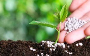 cấu tạo phân vi lượng Đồng (Cu)