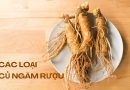 các loại củ ngâm rượu