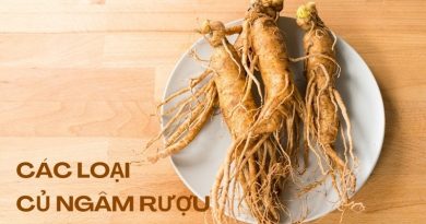 các loại củ ngâm rượu