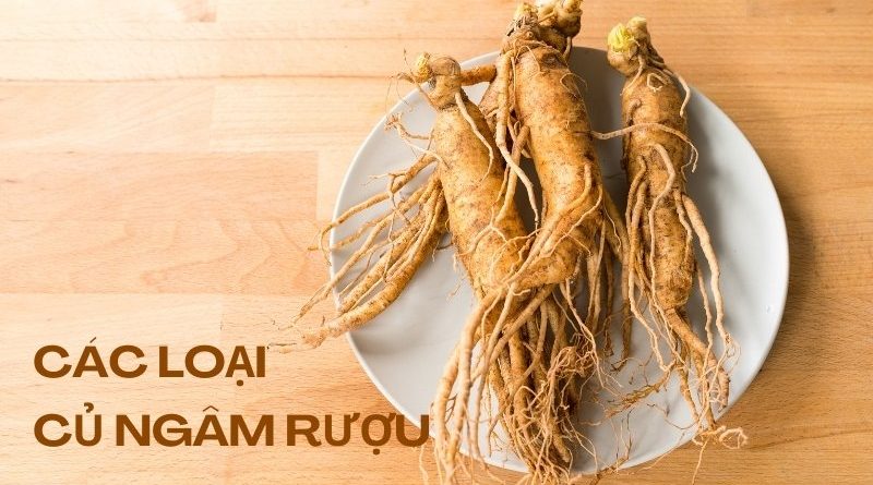 các loại củ ngâm rượu