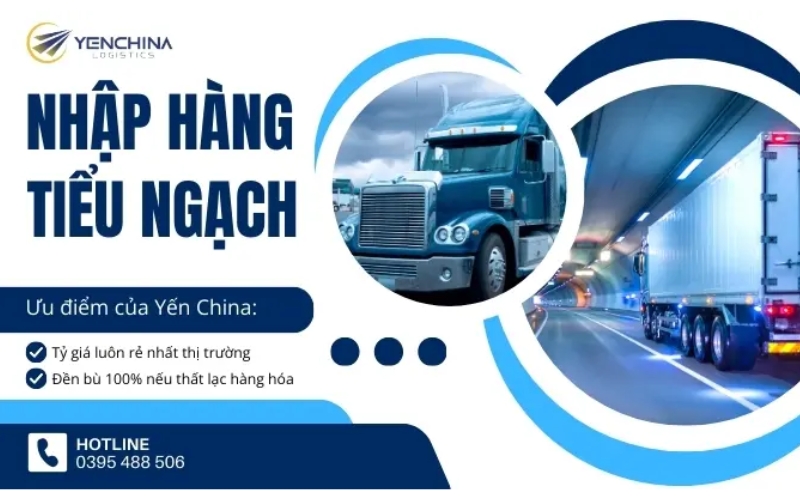 yến china