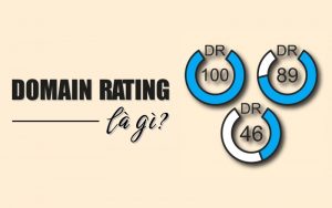 Domain Rating là gì