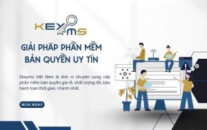 phần mềm ekeyms